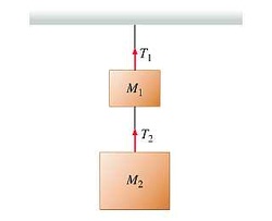 Newton's Third Law of Motion - Grade 11 Physics